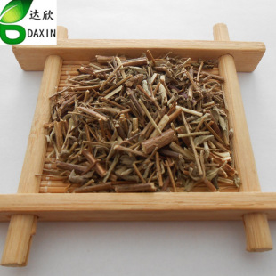 ��ș�����l  ��޸  ����