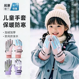 滑雪手套;登山、徒步包;成人手套