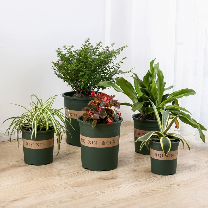 Дышащий горшок на массивном галлоне второго поколения Креативный пластиковый домашний садовый цветочный горшок Дышащий Балконный цветок мясистая зеленая Роза