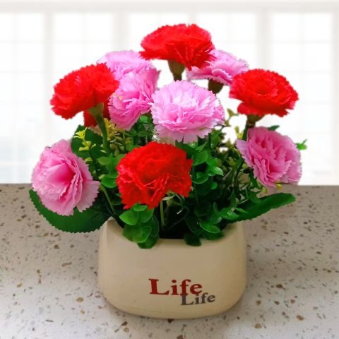 구명 분지-카네이션 레드 파우더