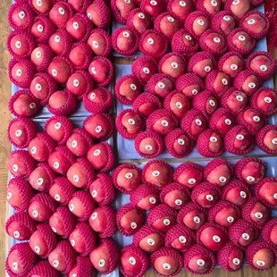 ���Sֱ�l��ˬ���𣬮a��ֱ�l��̨�t��ʿ�O��