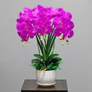 �����m���滨�ٻ��͏d�[���Ҿ��b�Ʒ�����ҕ���҃Ȕ[����������