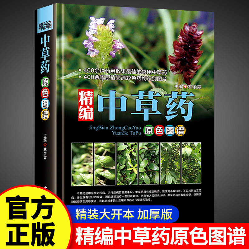 Refined Chinese Herbal Medicine Primary Color Map Medicinal Efficacy Common Therapeutic Herbal Identification Application Primary Color Picture Book
