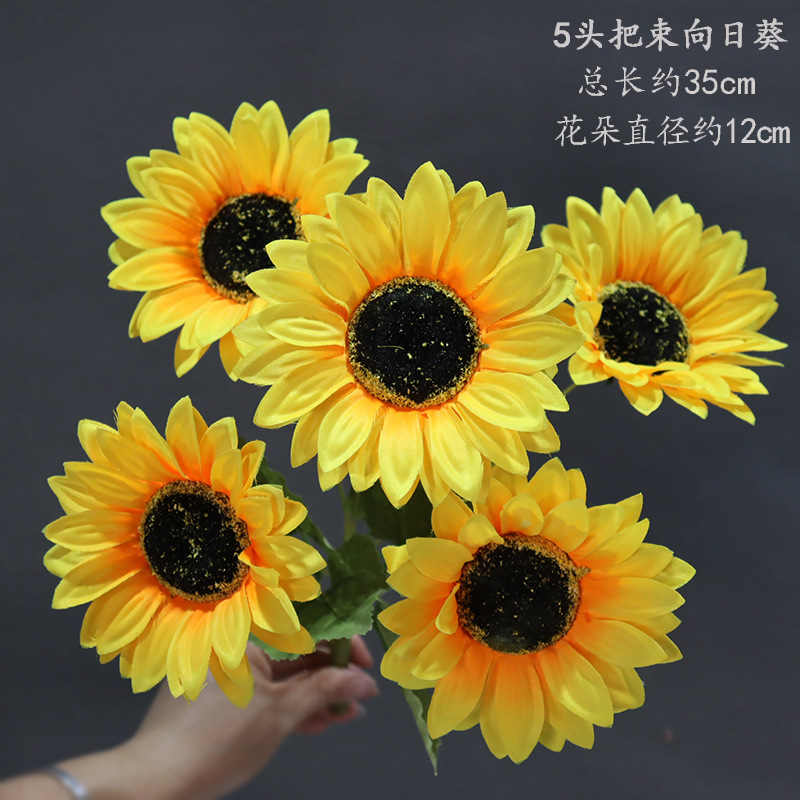 Girasol del manojo 5-head