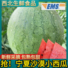 EMS���\����ɳĮ�ᭇС���ϵ���3-5����]���r���ڲ�ժ�a��ֱ�l