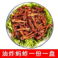 油炸蚂蚱零食蝗虫即食金蝉蚕蛹知了猴面包大麦虫油炸小吃虫子美食