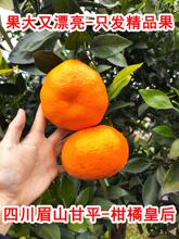 [��S]�Ĵ�üɽ��ƽ���ٻʺ��ЋD�������rˮ������С��ţ����