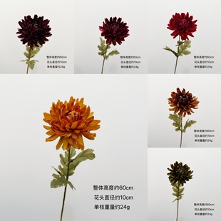 ��ꖸ�Ʒ������ɫӭ����ĵ���մ������Ҿӻ�c�ٻ����滨��֧�b�