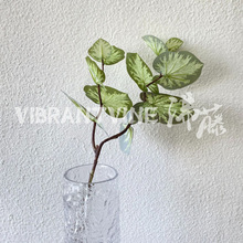 ����ֲ����~�͏d�b廨�[���Ҿ��b����~�پGֲɭϵ�쾰�~��