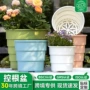 透气直发加厚树脂月季