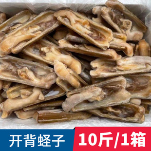 ȥɳ�_߅�|�������ؐ��r���r�ك��_���}�����͏d����ʳ������