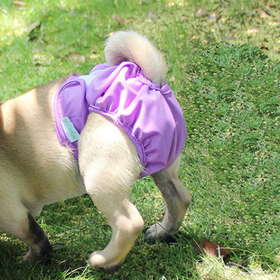 Pet Dog Pants Summer Dog Anti-Harassment Waterproof Cotton Fabric Pants Dog Safety Menstral Pants