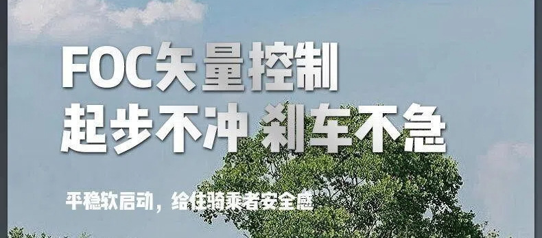 Electric Four-Wheeler for the Elderly, Household Dual-Seater Mobility Scooter for Disabled People, Foldable Small Electric Vehicle