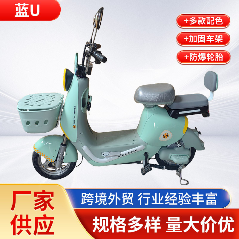 国境を越えた電動自転車の成人代歩電気自動車の日常通勤車は軽やかで長く持続してナンバープレート電気自動車に乗ることができる|undefined