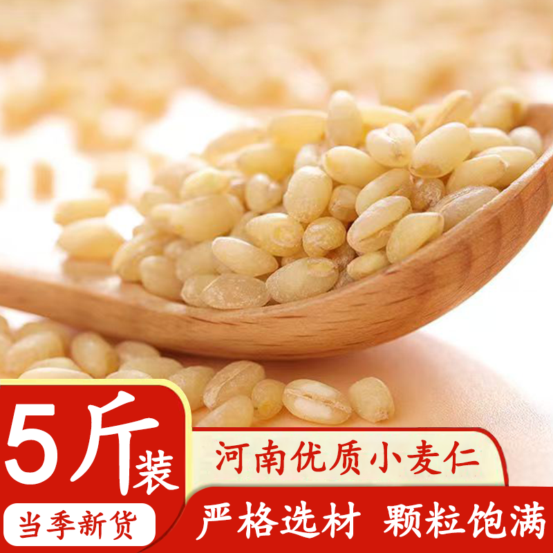 Henan Peeled Wheat Kernels, Peeled Wheat Kernels, 2024 Fresh Wheat Kernels, Rice Porridge with Germ Wheat Kernels Yeast
