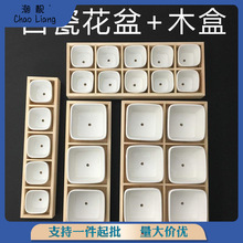 多肉组合盆创意木盒搭配简约白瓷花盆个性拼盘3格/5格/6格/10格
