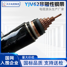 ��Ԫ���˱��z�y�o���~YJV62䓎��z�b�߉������|10ǧ��35kV��о