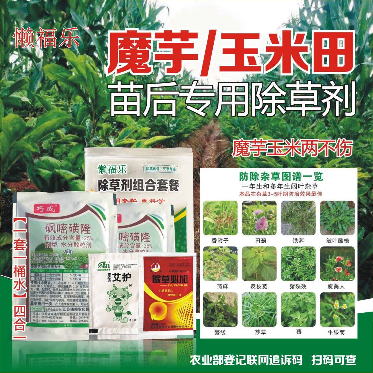 魔芋玉米套种除草剂 魔芋茄子辣椒番茄除草剂 魔芋除草剂砜嘧磺隆