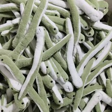 zmdnС��ë�q��߲�����������ż��փ�ͯŮ���ɐ۔[�����м�����