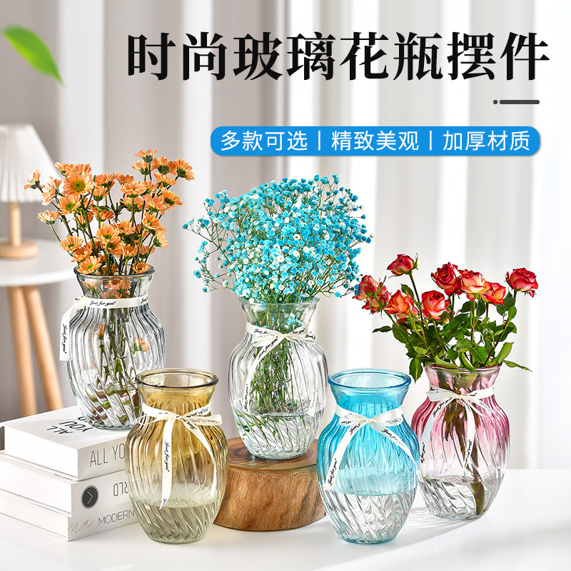 Glass Vase Internet Celebrity Ins Style Ornaments Living Room Flower-arranging Flowers Tulip Water-raising Lily Hydroponic Vase for Hair