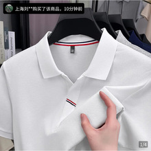 恒清优选男装专柜国际大牌桑蚕丝短袖夏季男士时尚POLO衫T恤
