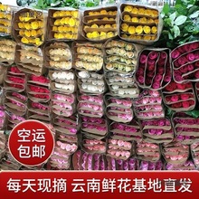 速递直发斗南基地昆明办公室玫瑰花鲜花云南家用直批新麦太保