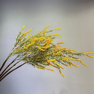 ������β�ݼҾӻ����b�������K�ݼ�ֲ���쾰΢���^�b�ëë��