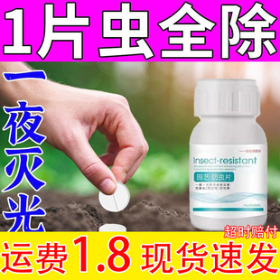 Home Gardening Anti-insect Tablet Anti-black Flying Aphid Whitefly Plutella xylostella Household Flowers Green Plants Fleshy