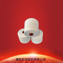 21֧�h�V�����޼��S�ҹ���ճ�z��R21S ճ�z�����޼���21֧