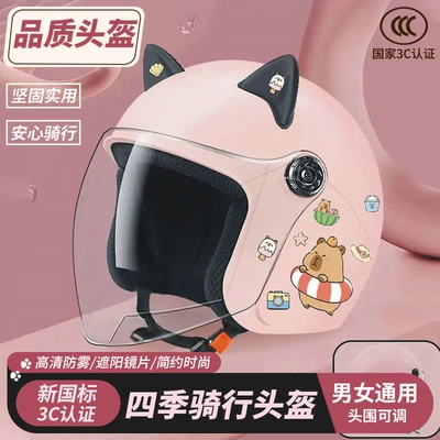 Motorcycle Winter Warm Helmet – Motosiklet kaskı (dəbilqə)