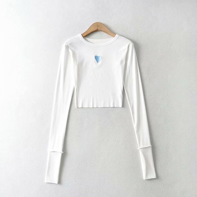 embroidery long-sleeved slim T-shirt NSAM49395