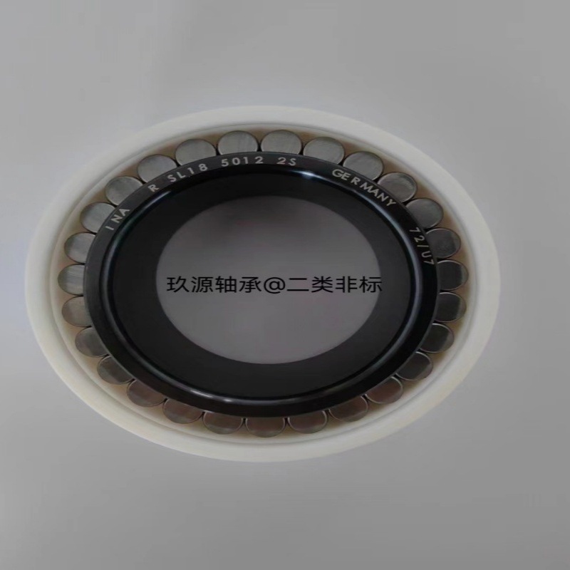 RSL185012 RSL185013行星减速机齿轮轴承无外圈满装滚子轴承非标