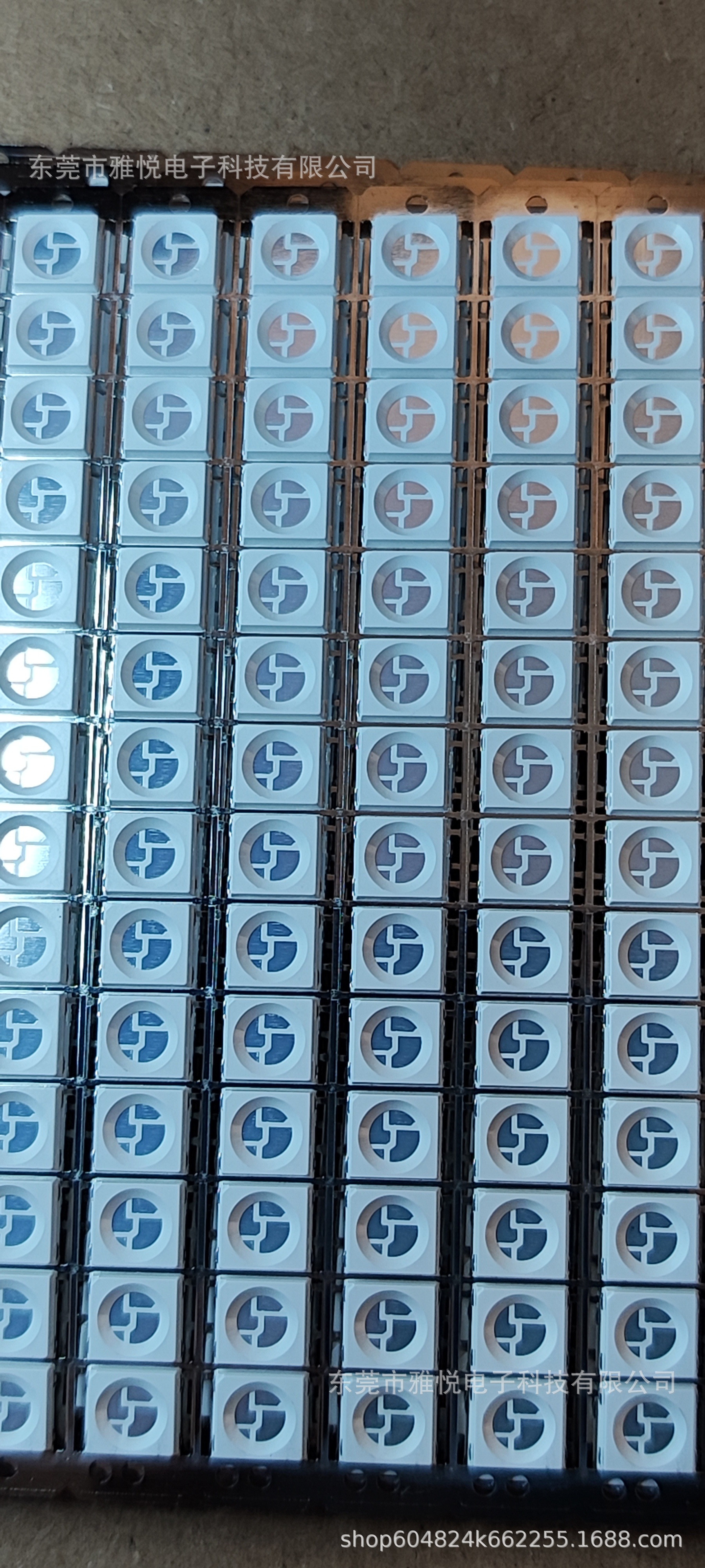 微信图片_20241104110043 - 副本