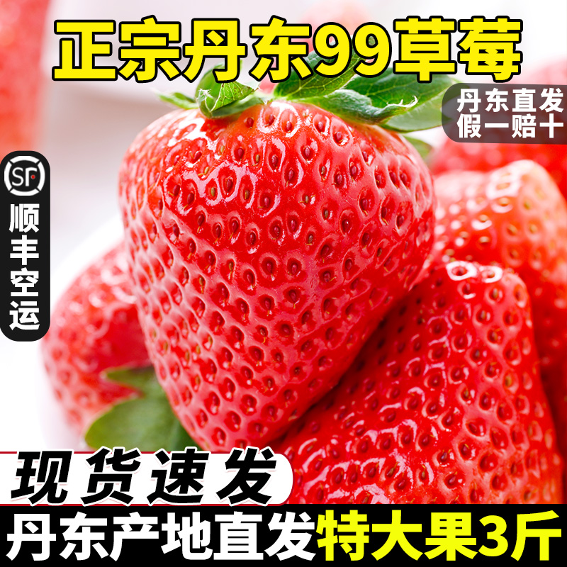 丹东九九草莓新鲜大果东港红颜草莓礼盒头茬孕妇水果牛奶草莓