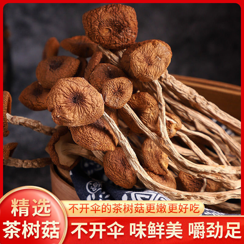 古田茶树菇 包邮不开伞茶树菇菌菇食用菌菇干货 产地直销批发代发
