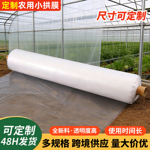 ����С���ﱡĤ͸���r���Bֳ��Ĥ���ر����߲���Ĥ�N�˴������ϲ�