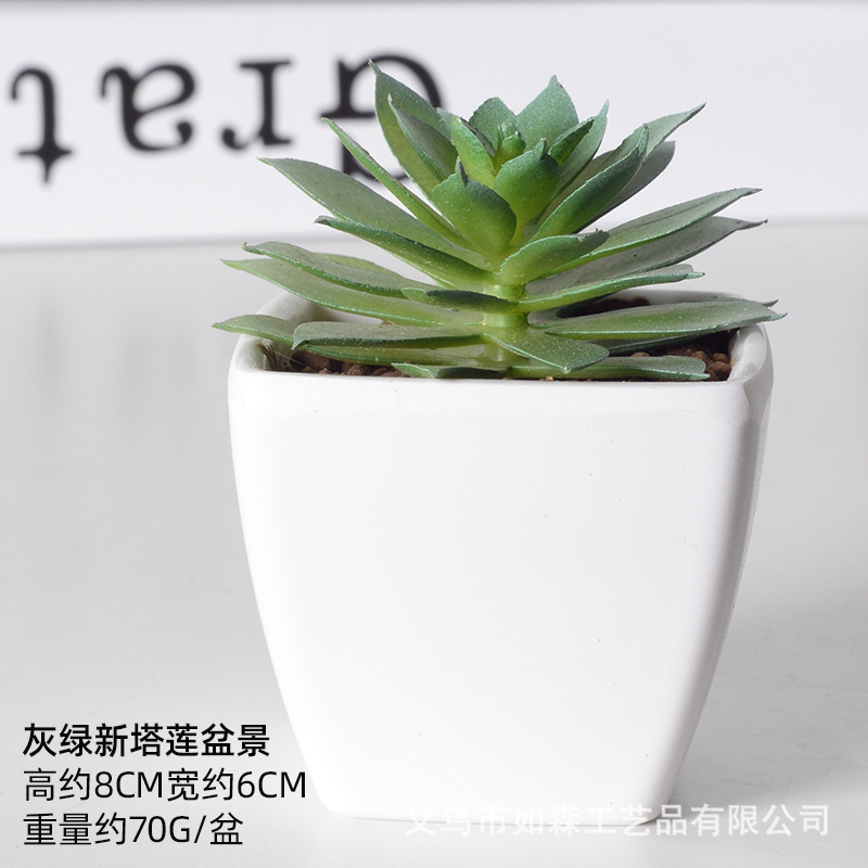 Simulación de plástico carnoso bonsai flor falsa combinación oficina interior escritorio plantas verdes pequeños adornos plantas artificiales al por mayor image 24