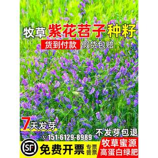 ���~�ϻ����ӷN��ë����������þG�ʹ��@��Դ�̵��߮a����������