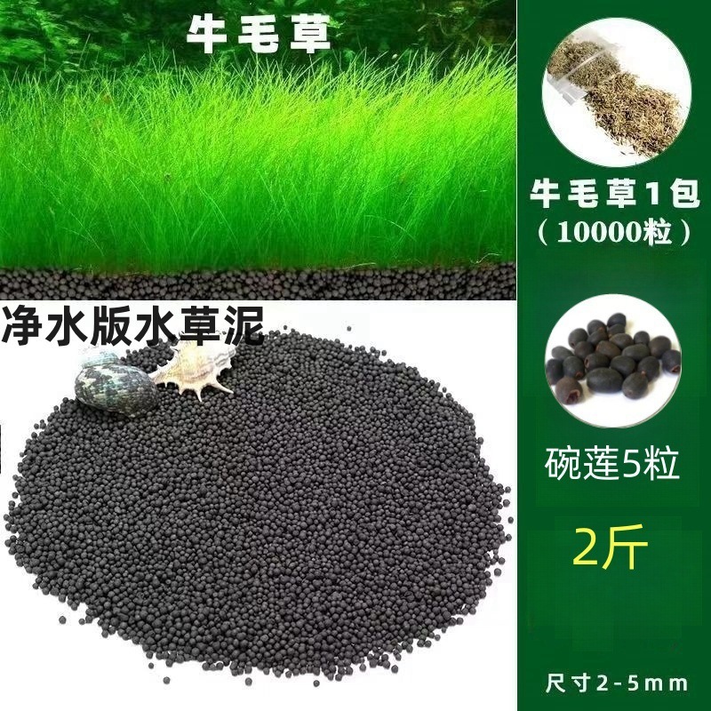 [핫세일] 워터그라스머드 1.0kg - 무소머리풀 10,000캡슐 + 볼연꽃 5캡슐