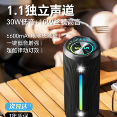 雷登x10MAX 蓝牙音箱35W大音量超重低音炮家用户外便携车载小音响