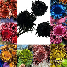 ���E�ɻ�ܛ�b�廨�߼����޾W�t��������ѩɏ�F؛���l����ѩɏ��