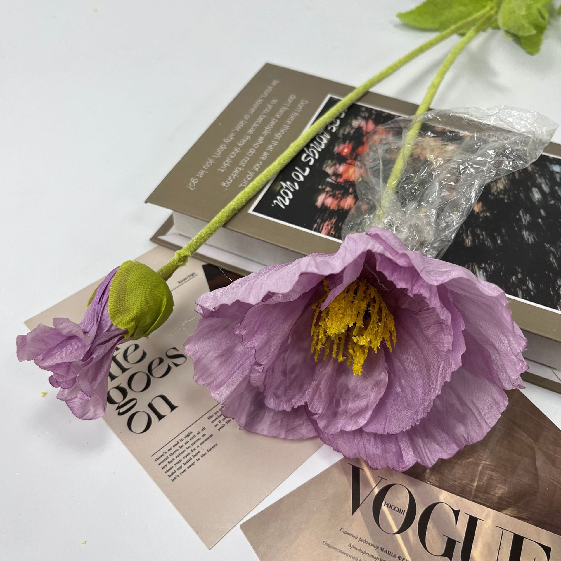 큰 양귀비 보라색