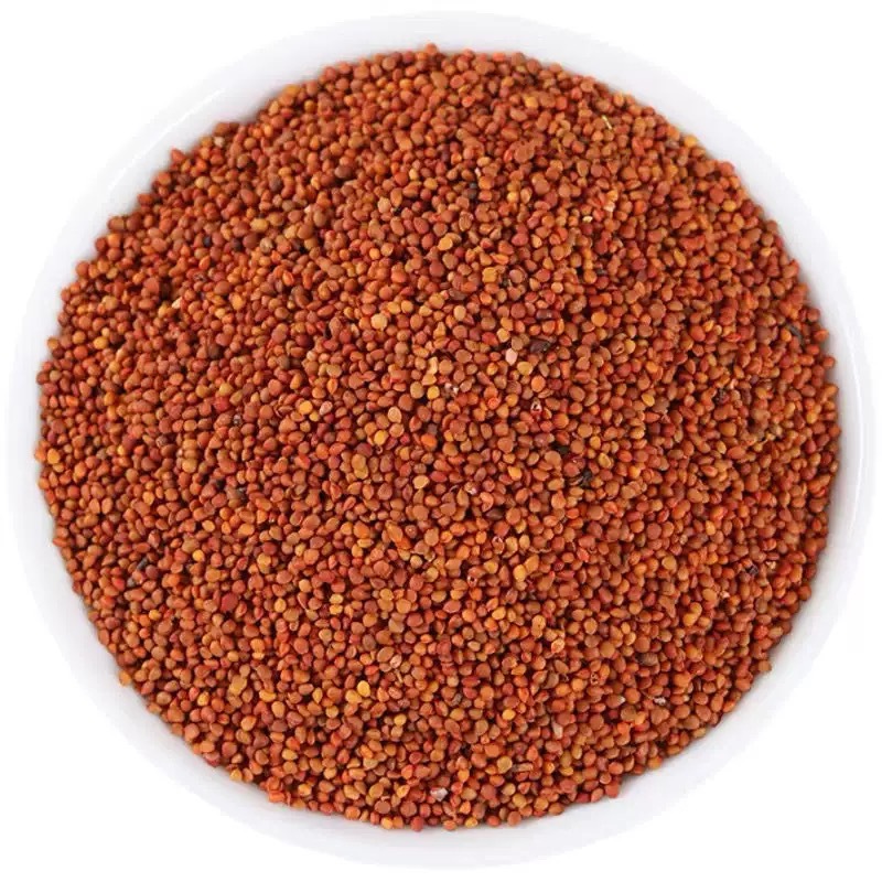 Chu Shi Zi (Broussonetia papyrifera Fruit) — Dried Food Herb, 500g preparation