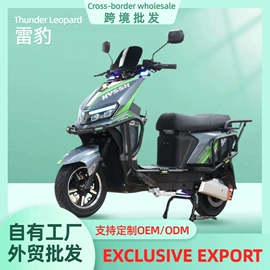 其他电动车;电动摩托车;两轮摩托车