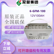 双登免维护铅酸蓄电池6-GFM-40/65/100/150/200直流屏UPS电源用