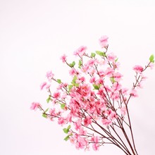 �F؛�����һ�֦65cm�һ������Ҙ�֦�����Ҿ��b�c���߼ٻ����l