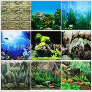 �~�ױ������ڼ�����ˮ�����b����宋����߶�30-100cm