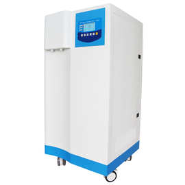 RUPL系列六键超纯水机路博环保全自动微电脑控制系统