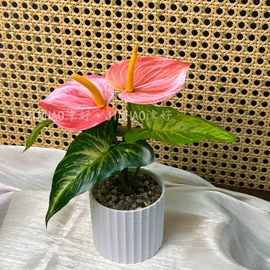 仿真花;永生花;仿真盆栽