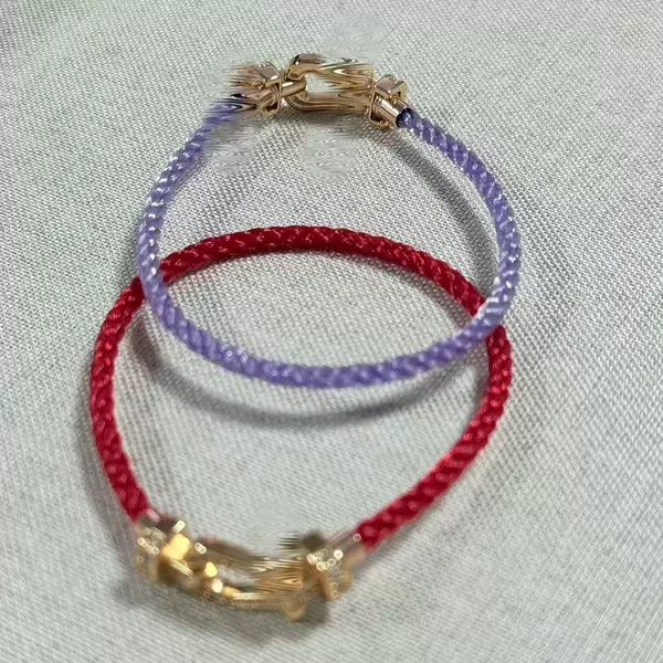 New Fashion Hand Rope Couple Bracelet Horseshoe Buckle Red Rope Bracelet Female 18K Rose Gold Braided Red Rope